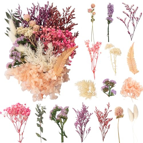 LAUMOE Trockenblumen, Getrocknete Blumen, Trockenblumen Zum Basteln Klein Set ​für Kunst DIY Harz Scrapbooking Handwerk Karten Machen (Stil 4)