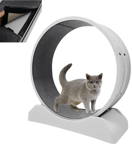 Katzenlaufrad, Großes Laufrad für Katzen, Kratzfest, stabil und leise, HxBxT: 85 x 35 x 80cm, Tragfähigkeit10 kg, Katzenlaufrad mit Arretierung für Laufen/Gehen/Training