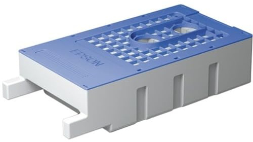 Epson T619300