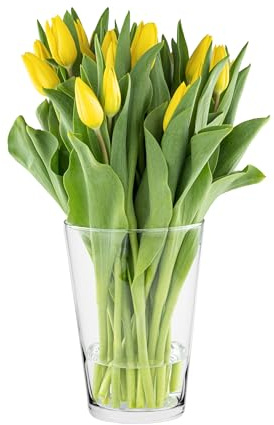 Trend For Home Tulpenvase H: 19 cm Blumenvase Glas Große Vase für Rosen Glasvase Rund Vase für Tulpen Amaryllis Vasee Gross Rosenvase Runde Glasvase Durchsichtige Vasee, ⌀ 14.2 cm, Alyssa