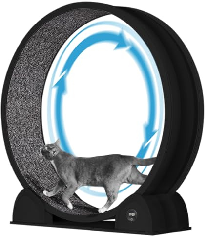 Katzenlaufrad, 114cm Laufrad mit Schrittzähler & Kratzbrett für Indoor-Katze, Super Leise Laufband mit abnehmbarem Teppich, Katzenrad für Kleines Mittel Großes Katze Gewichtsverlust & Gesundheit - Sch