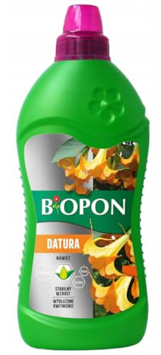 Engelstrompeten Dünger Flüssig Spezialdünger Für Stechapfel Datura Brugmansia 500ml