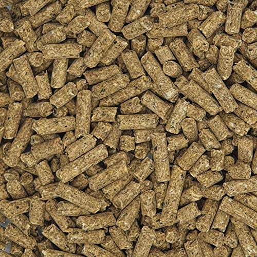 Havens Fohlen-Aufzucht, 25 kg