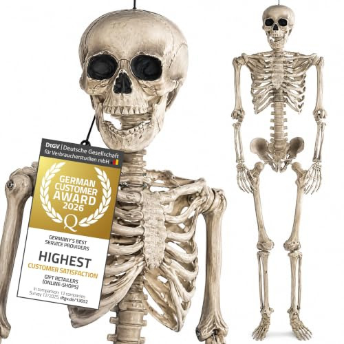 GOODS+GADGETS® Halloween Skelett Lebensgroß 160 cm - Deko Skelett | Vollbewegliches Ganzkörper-Skelett aus robustem Kunststoff – wasserfest für innen & außen