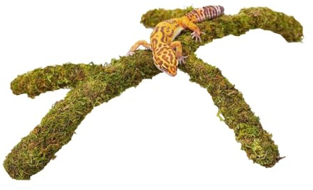 Jinymral Verstellbare Moos-Kletterstange für Leopardgeckos – Natürliches Reptilien Kletterspielzeug, Terrarium Zubehör & Habitat Dekoration