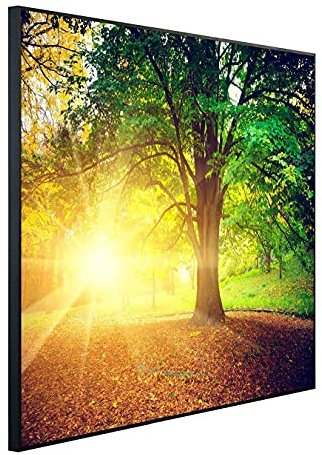 Ecowelle Infrarotheizung mit Bild | 600 Watt | 60x120 cm | Infrarot Heizung| | Made in Germany| (1)