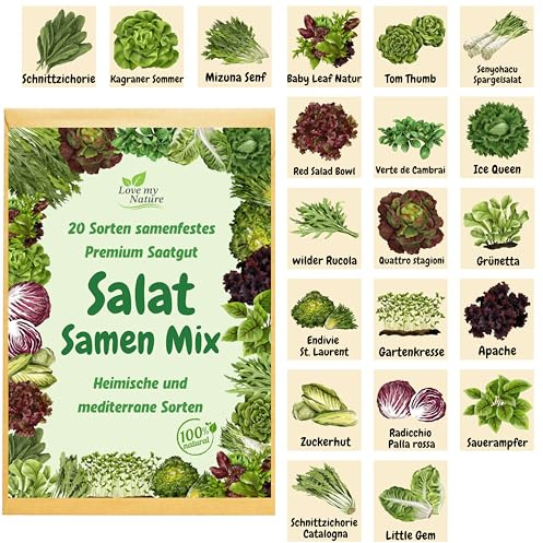 Salatsamen Mix – 20 Sorten im Set – Pflück-, Schnitt- & Wintersalate – 100 % Natur – ohne Anzuchtverstärker – liebevoll verpackt – inkl. Anleitung & Einzelbeschriftung