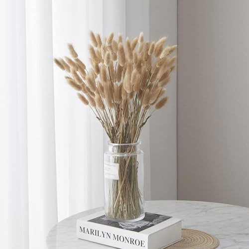 FANNAS 60 Stück Pampasgras Trockenblumen Deko Grundfarbe 45 cm | Hasenschwänze Pampasgras Getrocknet Trockenblumen Pampasgras Krotkie für Blumen Arrangements Heim Decor Hochzeit