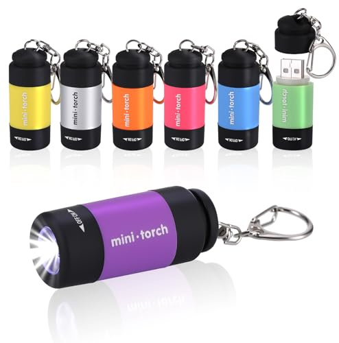 Kssvzz 7 Stück Mini LED Taschenlampe mit Schlüsselanhänger | USB-Aufladbar Taschenlampen, Bunt, Klein & Tragbar, Mitgebsel Kindergeburtstag 6 7 8 9 10 11 12 Jahre