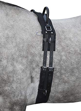 HKM 12701 Longiergurt Canvas, Fester Doppelgriff Longierbedarf Schwarz Shetty, 1 Stück (1er Pack)