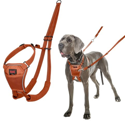 HALTI No Pull Anti-Zug Geschirr - Verhindert, dass Ihr Hund an der Leine zieht, Gepolsterter Brust- und Beingurt, Reflektierendes Gurtmaterial, Einfache Anpassung und Benutzung (Größe L, Dunkelorange)