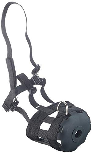 Kerbl 321625 Maulkorb/Fressbremse Nylon, schwarz, Pony | Größe Pony, Schwarz, verstärkte Fressbremse für Pferde, einfach und schnell anzubringen