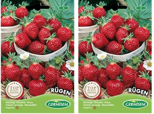 Germisem Erdbeere RÜGEN (Packung mit 2)