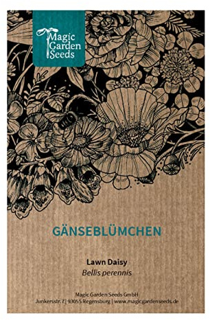 Gänseblümchen (Bellis perennis) Maßliebchen Tausendschön Margritli 1000 Samen