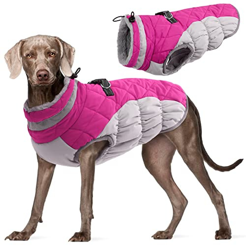 Kuoser Hundejacke Hundemantel für Mittelgroße Hunde Warm Wasserdicht, L | Wasserdicht Hunde Wintermantel mit Reißverschluss, Winddicht Hund Winterjacke Mit Geschirr Winterspaziergang Hundekleidung