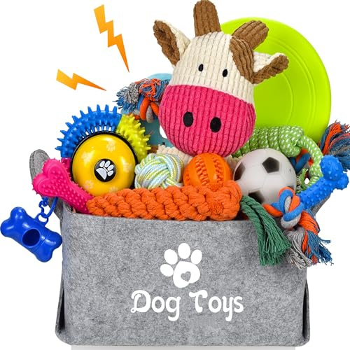 LECHONG 21 Pack Welpenspielzeug-Set, Welpenspielzeug zum Zahnen mit Aufbewahrungsbox, Quietschendes Hundespielzeug Und Kauspielzeug für kleine und mittelgroße Hunde, zum Spielen