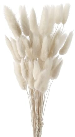 GIUSOBG 50 STK Pampasgras Getrocknet Trockenblumen Hasenschwanzgras Pampas