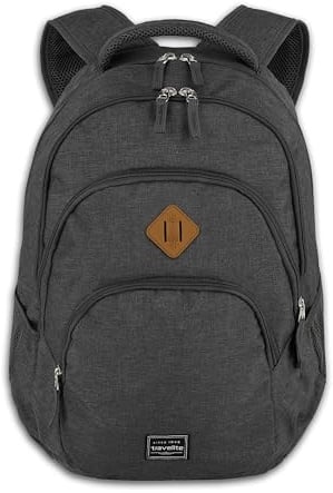 Travelite Handgepäck Rucksack, Laptop Rucksack 15,6 Zoll, BASICS, Daypack, Tagesrucksack mit vielen Fächern, 45 cm, 22 Liter