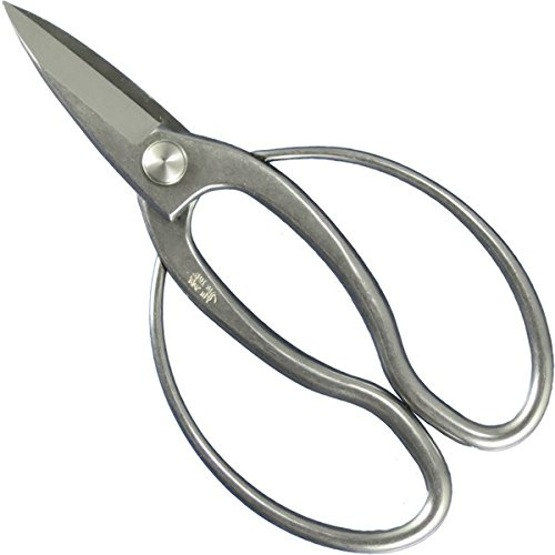 Bonsaischere Rostfrei 18 cm - Gakin Made in Japan