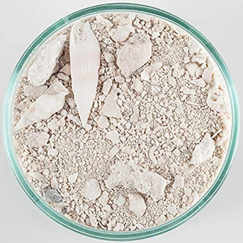 Carib Sea ACS00940 Ocean Direct Natürlicher Lebendsand für Aquarium, 18 kg