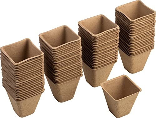 Meister Anzuchttöpfe 8 x 8 cm - Praktisches Set mit 96 Stück - Aus Papierzellstoff - Biologisch abbaubar, Pflanztopf, Saattopf, Pflanzenanzucht, WU9968330, Natur