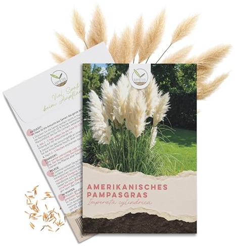 Amerikanische Pampasgras Samen (Cortaderia selloana) - Winterhartes Ziergras mit silbrig schimmernden Blüten ideal für Garten, Balkon oder Terrasse