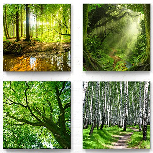 4 Wald- und Bäume-Bilder als Leinwandbild zur Deko - 40x40cm Moderne Naturbilder für Wohnzimmer und Schlafzimmer, Set Aufhängefertig