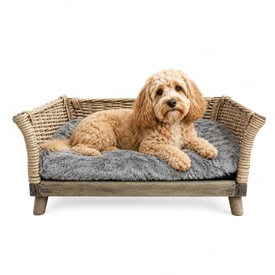 UNUS Hundebett aus Weide für Hunde, Eckiges Hundesofa Hundecouch L 90 x B 55 x H 35 cm, mit herausnehmbarem, waschbarem Kissen
