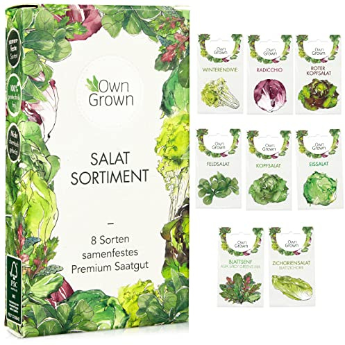 Salat Samen: 8 Sorten Salat Saatgut Set für Garten und Balkon – Kopfsalat Samen, Blattsenf, Feldsalat Samen winterhart, Radicchio, Endiviensalat Samen, Zichorie – Salat Gemüse Samen von OwnGrown