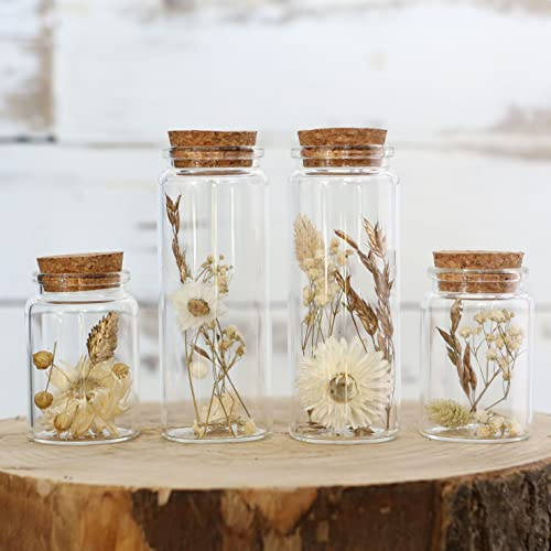 comforder Trockenblumen im Glas mit Korken, 4er Set, schmal (Natur) | Boho Deko, ewige Blumen, von Hand gepflückt und natürlich getrocknet, Fensterbank Deko, Geschenkidee