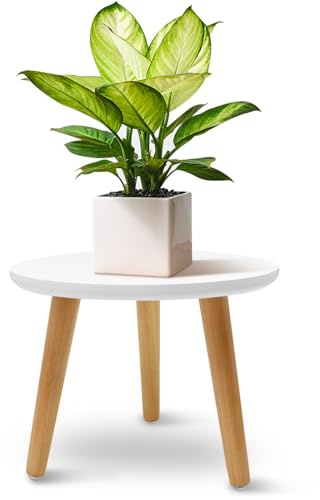 JNUYISW Pflanzenständer aus Holz, Weiß Blumenständer Rund Belastung Blumenhocker mit 3 Füßen für Verschiedene Topfgrößen Pflanzenhocker Deko Hocker für Haus Garten Innen Außen 22x28cm
