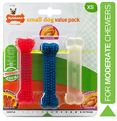 Nylabone Kauspielzeug Hund Value Pack, klein