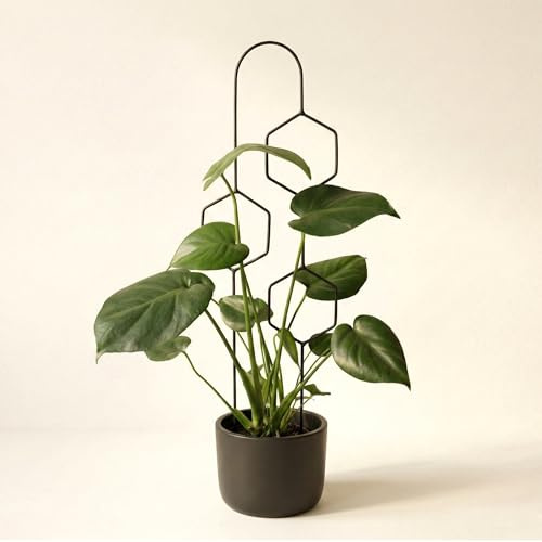 LEAFLO Hexa Line Rankhilfe für Zimmerpflanzen 59 cm | Metall - Pflanzenstütze - Rankgitter - Blumengitter | Innenraum Dekoration | Für Pflanzenliebhaber