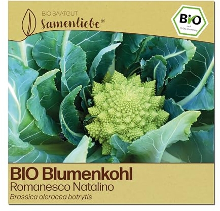 Samenliebe BIO Blumenkohl Samen | Romanesco Natalino - italienisch & grün - samenfestes BIO Saatgut