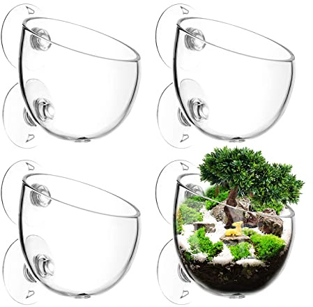 Aimeke® 4 Stück Wasserpflanzentopf Aquarium Deko Kristallglas Glas Cup Pflanzenhalter Cup Topf Pflanz für Aquarienpflanzen, mit 8 × Saugnäpfen