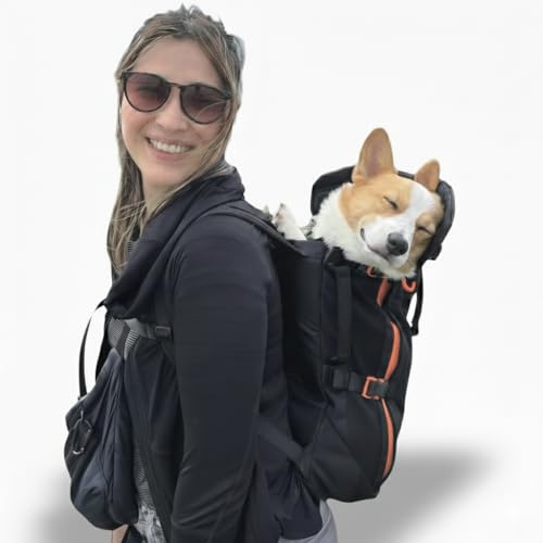 The Maxine One Medium Hunde-Tragerucksack von Little Chonk, für mittelgroße Rassen, verstellbare Haustier-Tragetasche, nach vorne zeigend, für Reisen, Wandern, Schwarz (Bark After Dark)