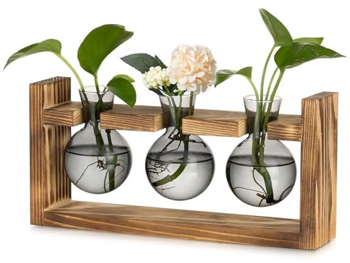 Glasseam Pflanzen Propagation Station für Wohnzimmer: Kleine Vase Glas Mini Terrarium mit Holz Rahmen für Home Büro Regal Tischdeko Fensterbank - Grau Blumenvase Vintage Deko für Plant Hydrokultur