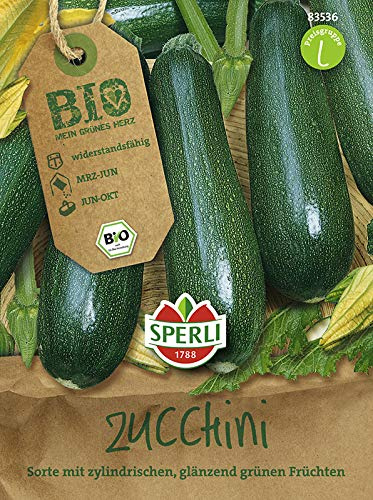 Zucchinisamen - Bio-Zucchini grün Bio-Saatgut von Sperli-Samen