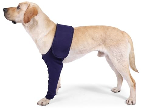 Joyan Hundebody Nach Kastration Rüde, Abriebfeste Erholungshülle für Hunde, Wundschutzanzüge für Hunde, Verhindert Lecken, Bisse, Nässe und Infektion bei Haustierwunden, Waschbar, Blau,L