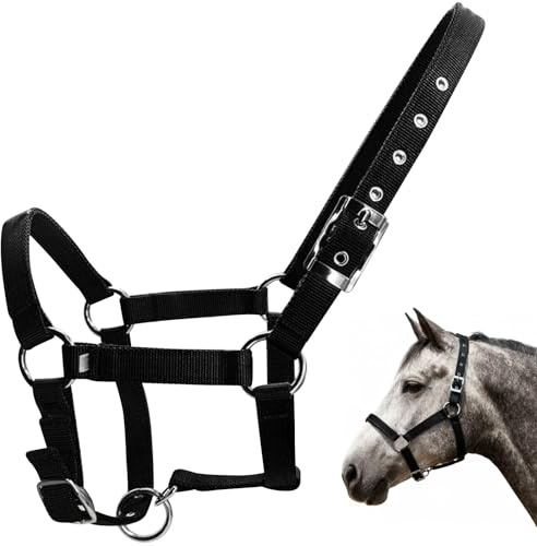 BINYI Hobby Horse Halfter für Pferde Pferdehalfter Kappzaum Pferd mit Karabinerhaken und Zügel Verstellbar Fohlenhalfter Hobby Horse Trense Shetty Zaumzeug für Holzpferd Pony Zubehör (Schwarz)