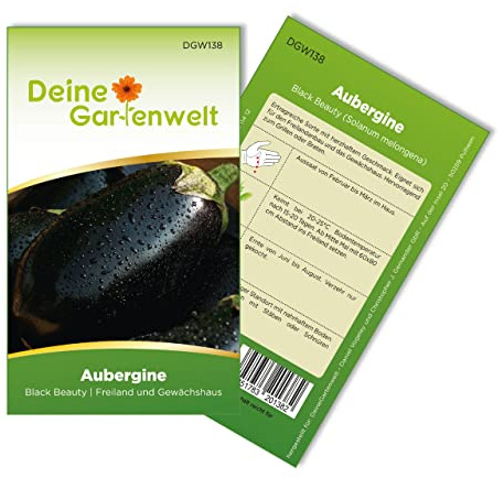 Aubergine Black Beauty Samen – Aubergine Samen - Auberginensamen Solanum melongena – Gemüsesamen Saatgut für ca. 15 Pflanzen