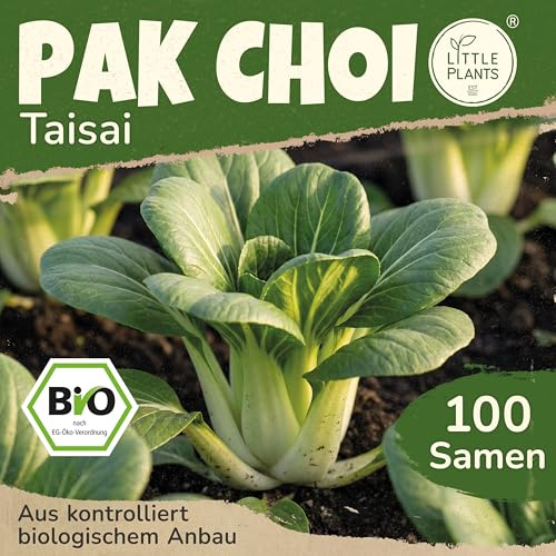 Little Plants BIO Pak Choi Samen 100 Pak Choi Saatgut Taisai Gemüsesamen für Gemüsegarten Samenfest Gemüse Samen Salatsamen für Küche, Balkon und Garten