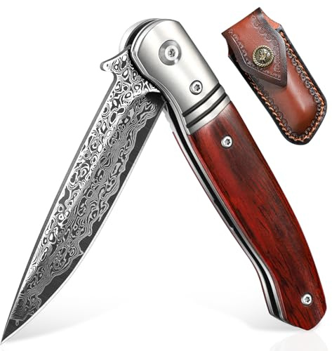 DRAGON RIOT Taschenmesser aus Damaststahl VG10 mit Leder Scheide | Hochwertiges Damastmesser Klappmesser für Outdoor Camping, Elegantes Geschenk für Männer