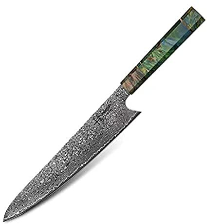 Hajegato Gyuto Einzigartiger einzigartiger Griff Professionelles 25,4 cm japanisches Kochmesser VG10, 67 Schichten Damaststahl Messer 9010016117…