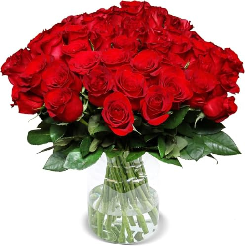 Blume Ideal Rosenstrauß | 20 Rote Rosen | Ø 40–50 cm | Premium Rosen von Floristen | Top Qualität | 7-Tage-Frischegarantie | Ideales Blumengeschenk