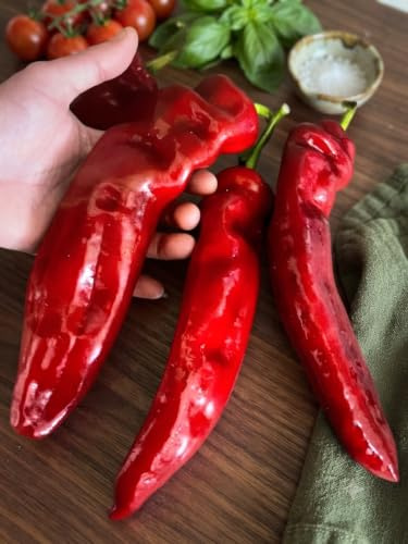 10 Samen Ungarischer Riesen Spitzpaprika – Süß & Riesig Saatgut