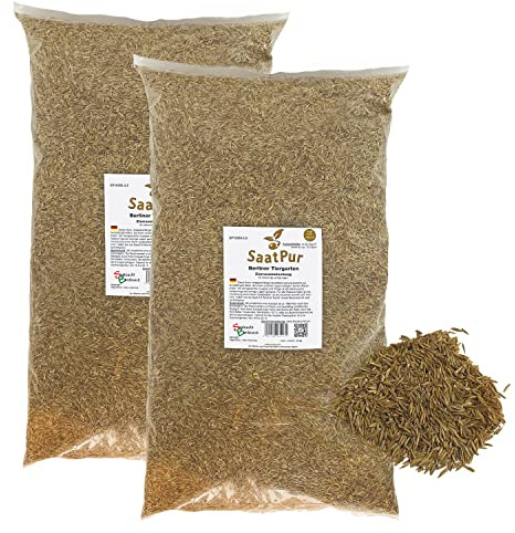 SaatPur® Rasensamen Berliner Tiergarten 5kg für ca. 200 m², Mehrjährige Zierrasen Rasenmischung aus mehreren Rasenarten, meistens 4 bis 5, satt grün, Schmuckrasen für Neusaat + Nachsaat