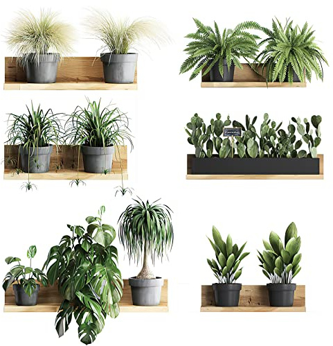 3DWandaufkleber, Entfernbarer PVC Bonsai Wandaufkleber, Kreative Wanddekoration Pflanzen Wandsticker, Topfpflanze Wandsticker als Wanddekoration für Schlafzimmer Wohnzimmer Kinderzimmer