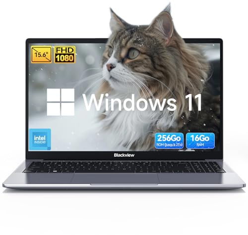 Blackview 15,6 Zoll Laptop, N150(Besser N95/N97) bis zu 3.6GHz, 16GB RAM 256GB SSD Notebook für Unternehmen Studierende, FHD IPS Display, Augenschutz, 100W Typ-C, 4K HDMI, Bluetooth, WiFi 5, QWERTY