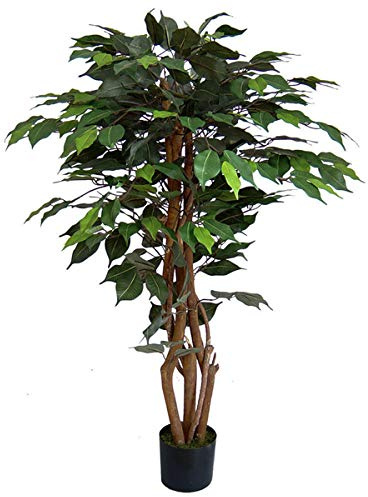 Ficus Excotica 120cm grün DA Kunstbaum Kunstpflanzen künstlicher Baum | Dichte Kunstpflanze mit 504 Blättern - Inklusive Zementtopf - Dekobaum & Birkenfeige für Innenräume - 70cm Breite